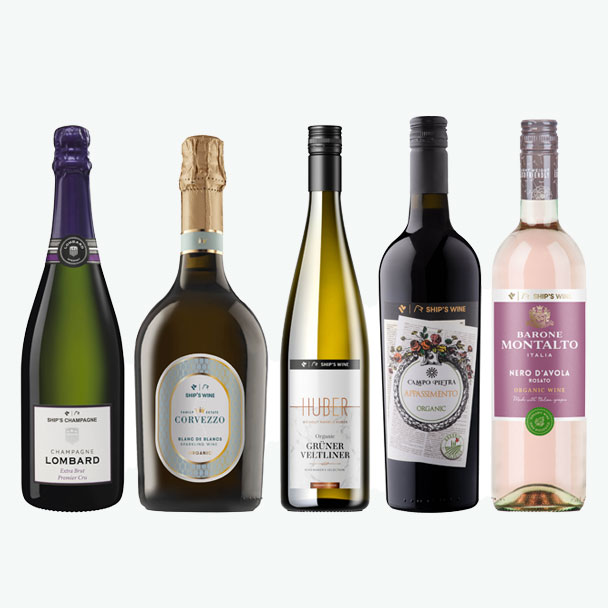 탈린크실야 크루즈 와인