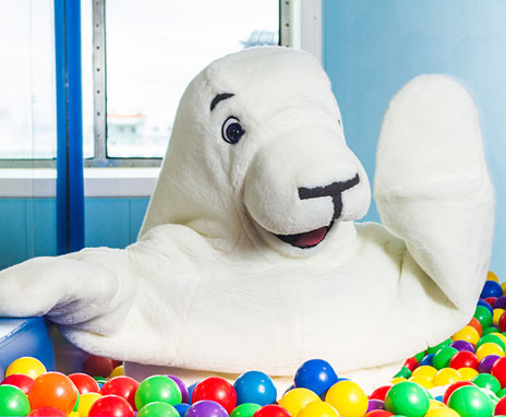 Jump into the ball pool just like Harry the Seal